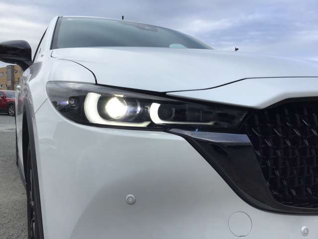 ALH機能付きLEDヘッドライト。対向車にまぶしい思いをさせずに自分は明るい視界を確保できます。