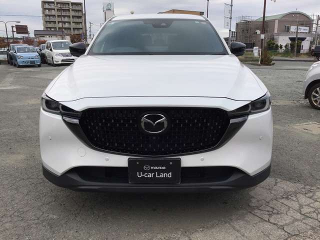 精悍なヘッドライトと迫力あるのフロントグリルがかっこいい！