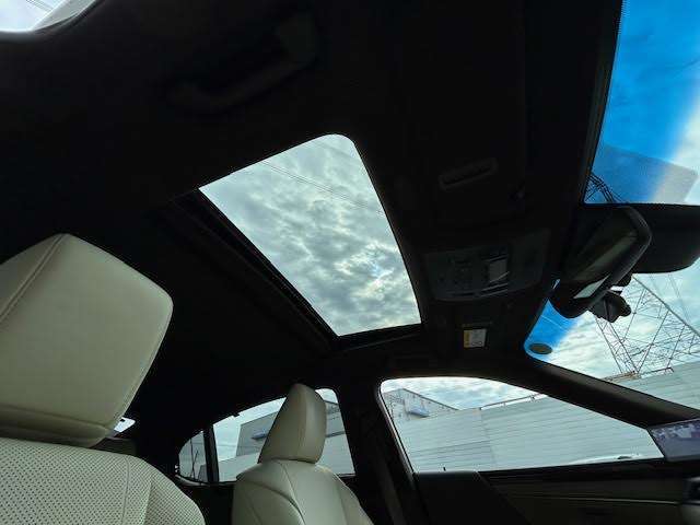 【天井】天張りにシミやへたりがなくきれいな状態です！