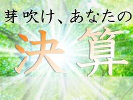 2025年4月10日(木)～5月31日(土)までの期間、ワイダボでは決算SALEと銘打って、新たなカーライフのスタートを全力で応援いたします！是非この機会にワイダボまでお問合せください♪