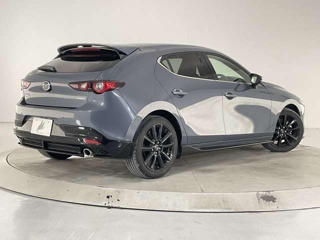 追加メーカーオプションフル装備車！【ドライビングポジションサポートPKG】【360度セーフティPKG】【BOSEサウンドシステム】【DVD/CD/地デジチューナー】全部付いてます◎
