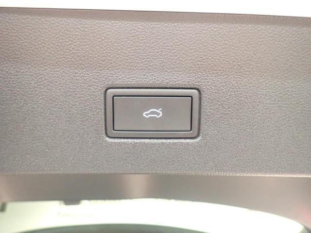 パワーテールゲート（挟み込み防止機能、Easy Open  Easy Close機能付）