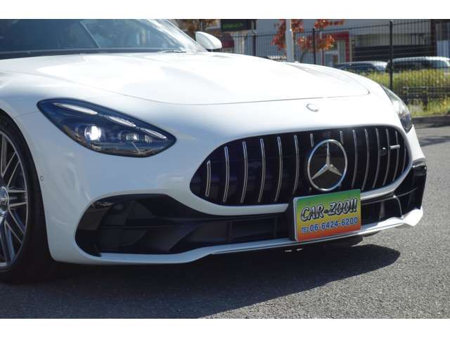 AMG専用バンパー＆パナメリカーナグリル