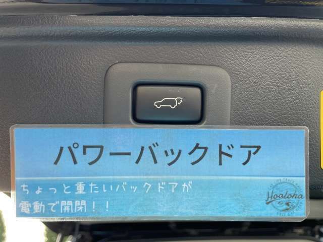 オートローン大歓迎♪実績多数！頭金0円、最長120回までお支払い可能♪何でもご相談下さい！お客様に最良のプランをご案内いたします。