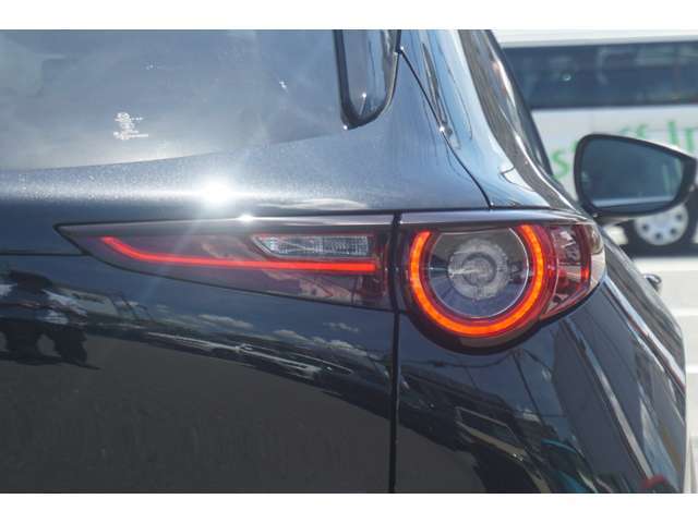 LEDテールランプ！ボディデザインにマッチした形状でスタイリッシュに仕上がっております。