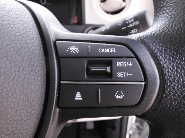 【アダプティブクルーズコントロール】予め設定した車速内でクルマが自動的に加減速。前走車との適切な車間距離を維持しながら追従走行します。【LKAS】車線維持支援システムでステアリング操作を支援。