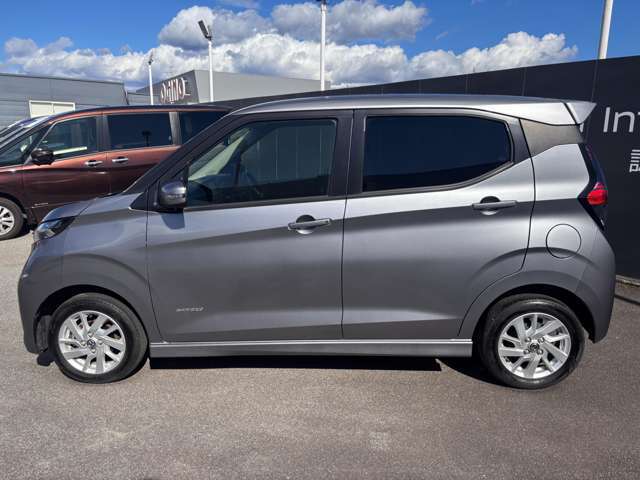 横からのスタイルです。