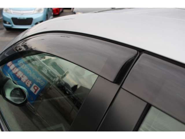 サイドバイザー付き