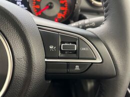 【クルーズコントロール】高速道路もラクラク走行。アクセルを離しても一定速度で走行ができ、長距離運転時の負担を軽減！加速・減速も簡単なスイッチ操作で調整できます。