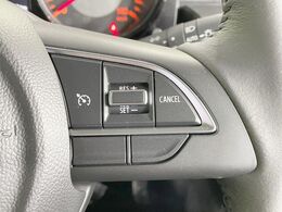 【クルーズコントロール】高速道路もラクラク走行。アクセルを離しても一定速度で走行ができ、長距離運転時の負担を軽減！加速・減速も簡単なスイッチ操作で調整できます。