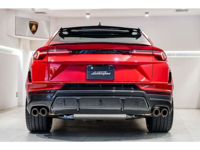 Rear Lamborghini logo matt black