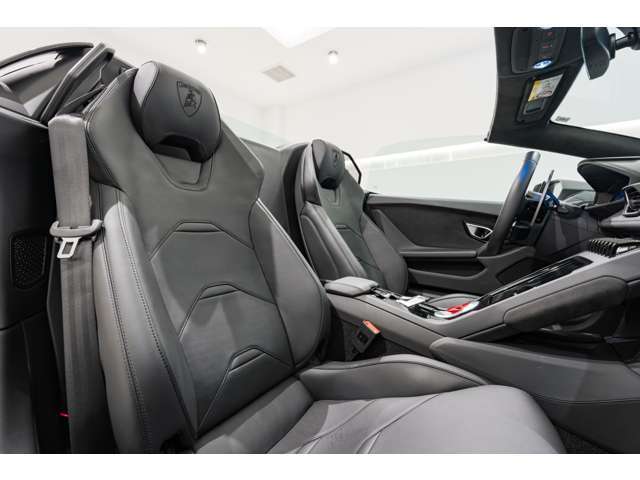 Rooflining and A-pillars in Alcantara for EVO TRIM