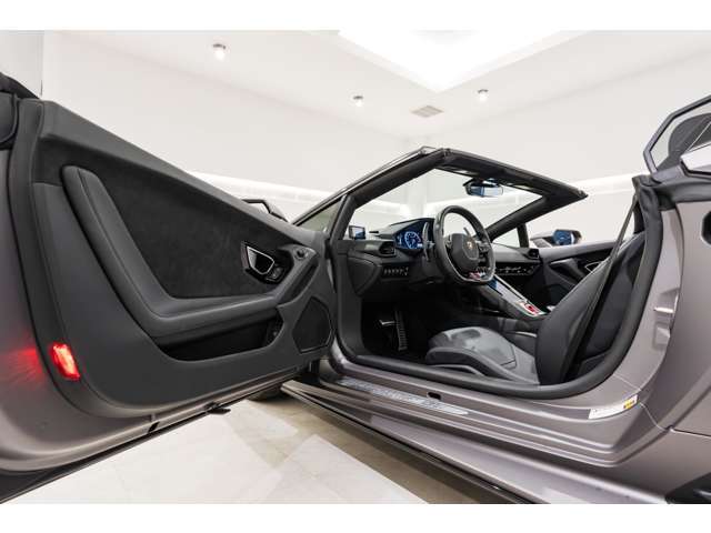 Rooflining and A-pillars in Alcantara for EVO TRIM