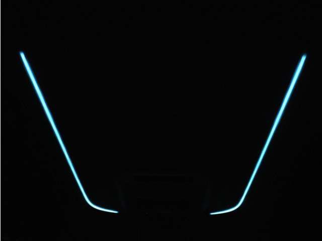 夜間に室内を照らしてくれるルームライトです