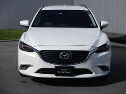 スノーフレイクホワイトパールマイカ！