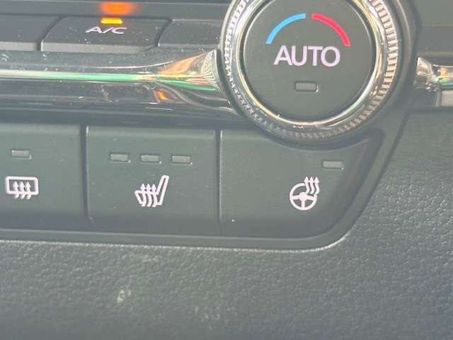 ステアリング＆シートヒーター付きです