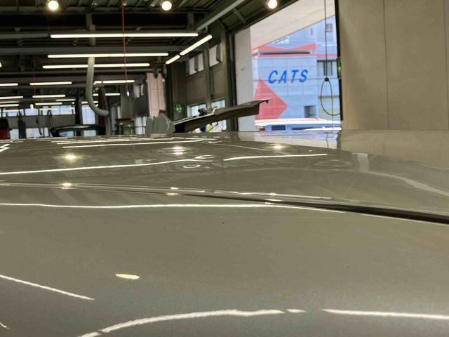 キズ・凹み・その他情報＊ルーフ、雹による複数のヘコミがございます。