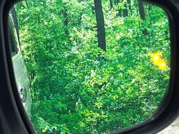 【後方車輛検知】走行中、ドアミラーの死角になりやすい箇所に後続車が接近するとサイドミラー付近に警告を表示、ドライバーに注意喚起をしてくれます。