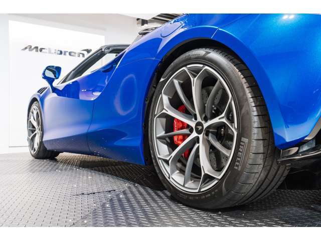 ARTURAは専用タイヤのPirelli製サイバータイヤを装着しております。