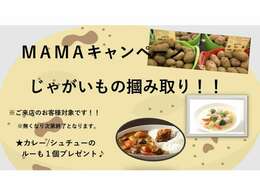 11月は【ジャガイモつかみどりキャンペーン】を開催しております！カレーかシチューのルーもプレゼントいたします！たくさんのご来店心よりお待ちしております！