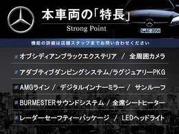 この車両の主なオプション・装備一覧となります。ここには記載のしきれない魅力的な装備も多く、詳しくはオートステージ堺迄お気軽にお問い合わせください。