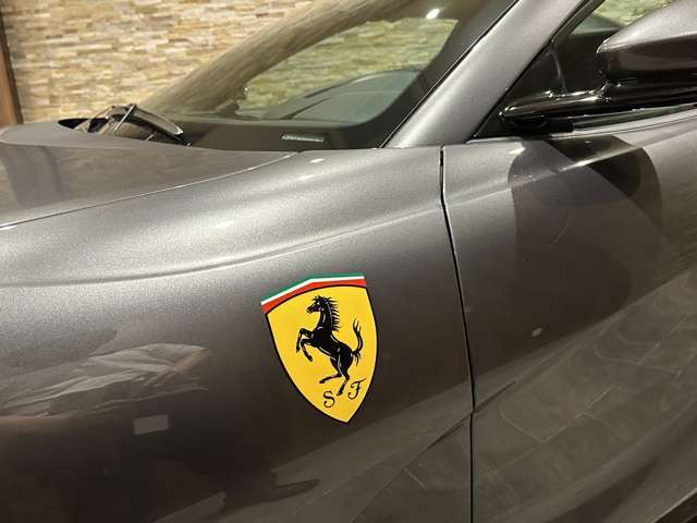 ・カーボンファイバー製ドライバーゾーンLED・カーボンファイバー製セントラルブリッジ・カーボンファイバー製センターコンソール上部