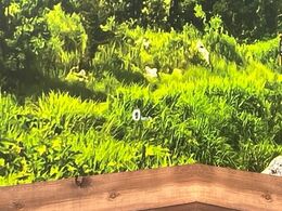 【カラーヘッドアップディスプレイ】現在の速度や走行情報をデジタル表示で運転席前方のガラスに投影！カラー付きで視認性も高く、運転中目線をずらさず必要な情報を確認できるのでとっても便利で安心！