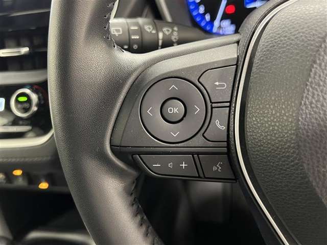 左側で音量調整やメーター内インフォメーションの操作などができます！