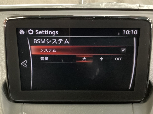 TCS（トラクションコントロールシステム）＆DSC（横滑り防止機構）やBSM（隣車線上の側・後方からの車両接近を通知）、LDWS（車線逸脱警報システム）で安全運転をサポート！