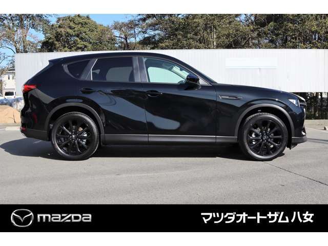 セーフティ＆シースルービューパッケージ：クルージング＆トラフィックサポート（CTS)、スマート・ブレーキサポート（SBS)[右直事故回避アシスト機能]、スマートブレーキサポート（SBS)[交差点事故回避アシスト機能]
