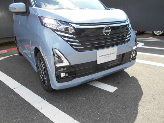 フォグランプも付いています。霧の日に活躍します。