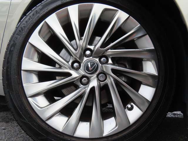 VerL専用ノイズリダクション18アロイはアウターリムの空洞化により軽量化を図りながら、走行中の共鳴音を低減する中空レゾネーター構造を採用。ロードノイズ発生源まで遡り、更なる静粛性を向上させた。