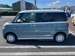 左横からの画像です