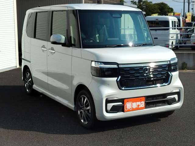 お色はパールになります。