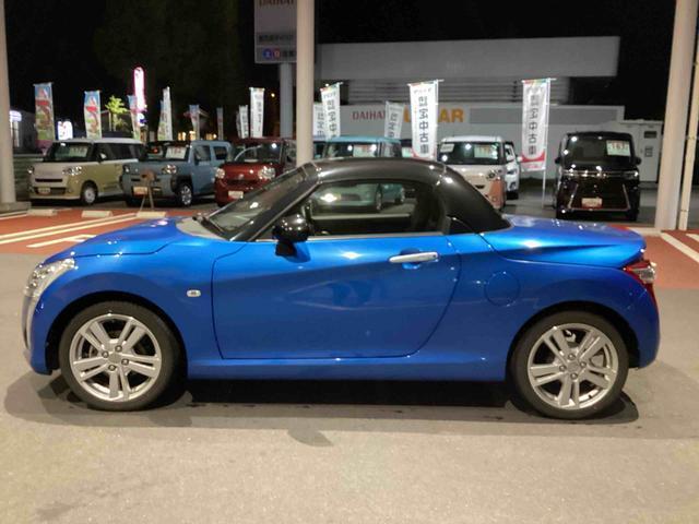 左横からの画像です