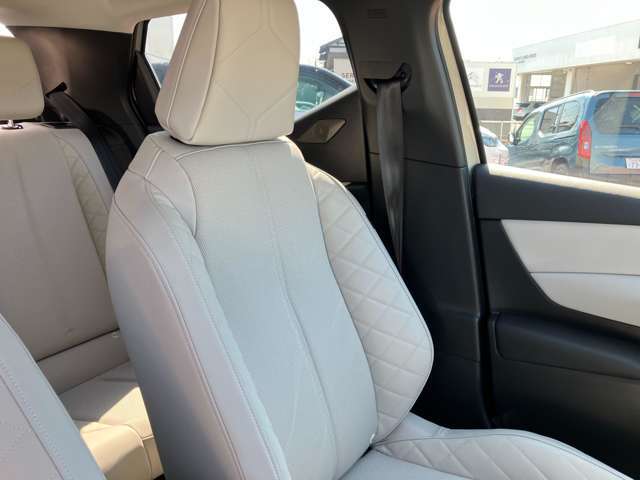 限定車のみの、とてもきれいな、上品さあふれるホワイトグレイ