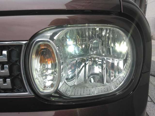 目は口ほどに物を言うといいますが、この目の綺麗さこの子の程度の良さがにじみ出てるじゃありませんか（＾＿＾）