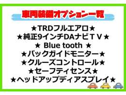 ★オプション装備車★　　車両装備一覧です。