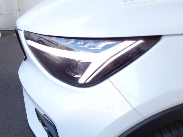 トールハンマーをモチーフにした、ピクセルLEDライト。デイタイムランニングライト、ウインカー機能も併せ持ち、そして、アクティブハイビーム機構と相まって、安全な夜間ドライブが可能です。