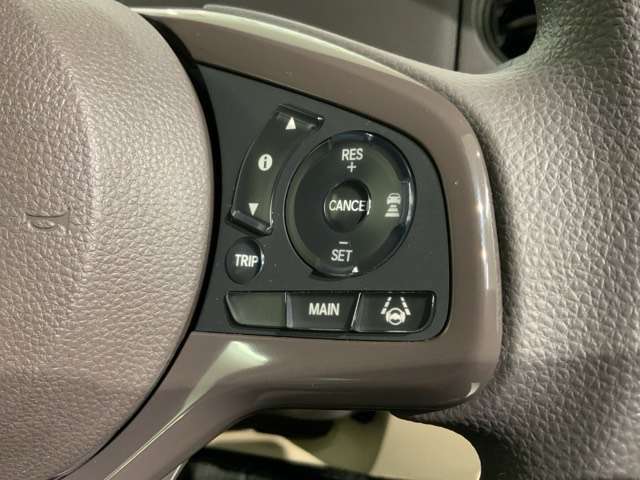 クルーズコントロールを装備しています。高速道路などで一定の速度で走ってくれるので運転が楽ですよ！速度を設定できますので、スピードの出しすぎにも注意できます。