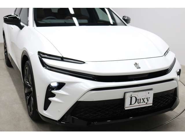 パノラマルーフ トヨタチームメイト 全周囲モニター ブラインドスポットモニター  純正21インチアルミ