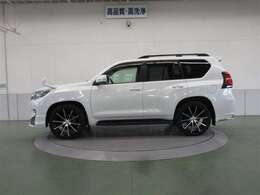 独自の存在感を放つダイナミックなサイドフォルム。強固なサイドステップが付いています。