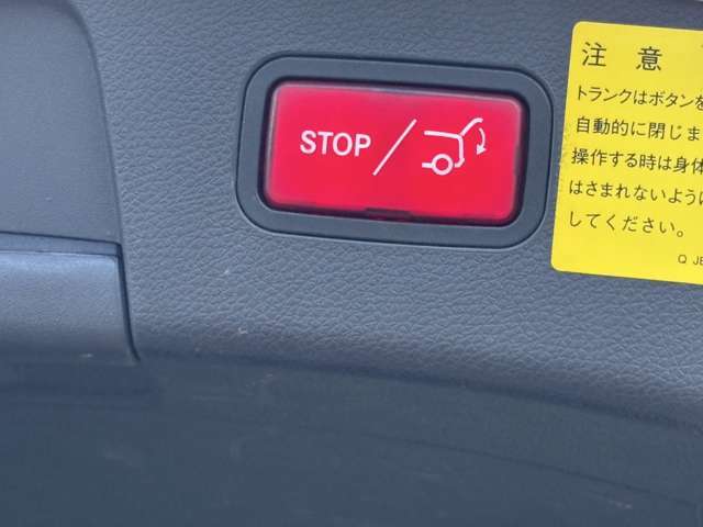 ゲートの赤いボタンで開閉