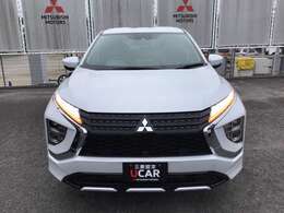 前からの画像です