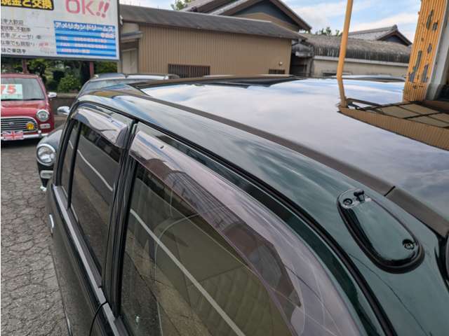 ドアバイザーの上部も塗装しています！
