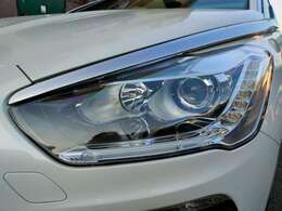 ディステャージヘッド