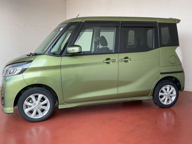 ドアバイザー付の車両です