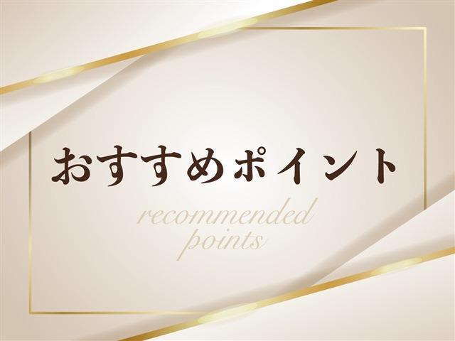 電動チルト＆テレスコピック/電動メモリーシート/クルーズコントロール/横滑り防止装置/ETC/純正HDDナビ/バックカメラ/地デジ/HIDオート/純正AW