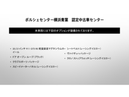 当車両のオプション一覧で御座います。