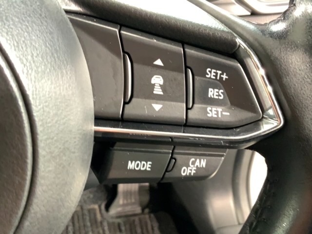 クルーズコントロールを装備しています。高速道路などで一定の速度で走ってくれるので運転が楽ですよ！速度を設定できますので、スピードの出しすぎにも注意できます。